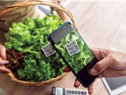 Bộ KH&CN: Đẩy mạnh nghiên cứu, chuyển giao công nghệ trong nông nghiệp